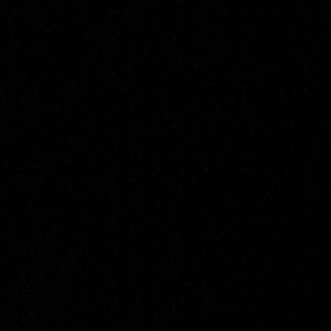 Meet your Posher, Asha